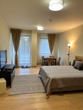 Lodge Euphoria Studio Borovetz